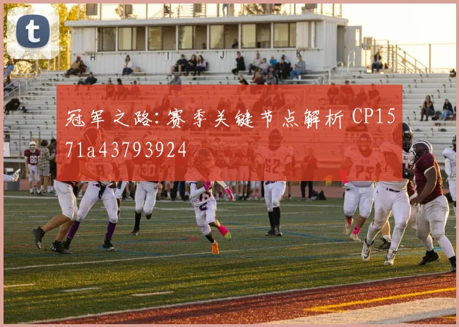 冠军之路:赛季关键节点解析 CP1571a43793924